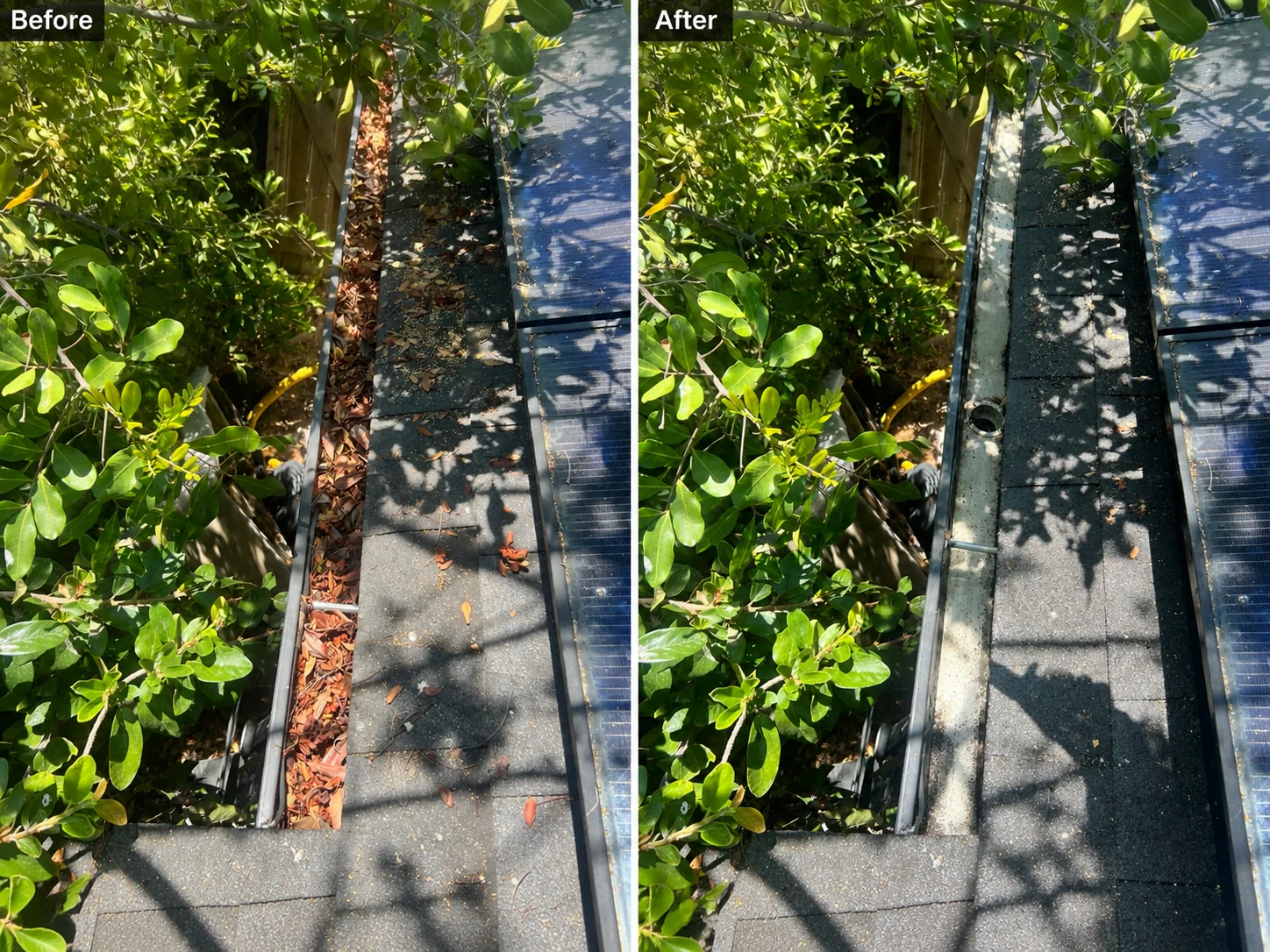 Before-and-after view of a roof gutter cleared of leaves and debris